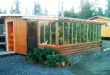 Vegetables-To-grow-In-greenhouse1