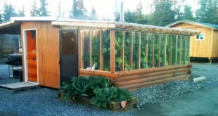 Vegetables-To-grow-In-greenhouse1