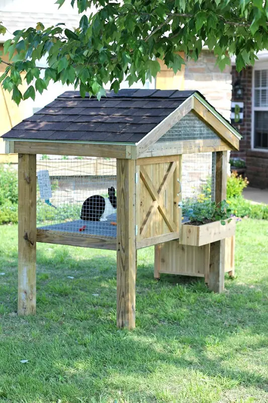 Outdoor rabbit clearance hutch plans